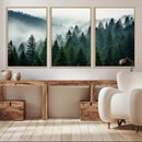 Captivating Misty Forest Wall Art Premium Canvas Print,