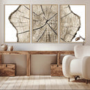 Abstract Wood Tree Ring Wall Art - Ready to Hang Minimalist