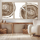 Wood Tree Ring Wall Art Canvas Prints, Tree Rings –