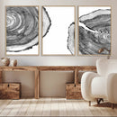 Abstract Large Tree Rings – Minimalist Black and White Wood