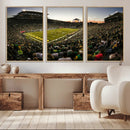 Oregon Stadium Canvas Wall Art - Captivating Game Day Scene