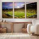 University of Oregon Ducks Football Team Print - Eugene