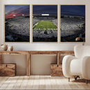 Penn State University Nittany Lions Football Team Print -