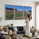 University of Missouri Tigers Football Team Print - Columbia