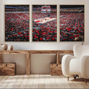 Louisville Cardinals Basketball Print Canvas - Louisville by MyGreatCanvas | Canvas Wall Art Prints | Photo Prints & Wall Decor