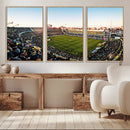 Boca Juniors Soccer Team Print - Buenos Aires Bombonera