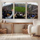 Boca Juniors Soccer Team Print - Buenos Aires Bombonera by MyGreatCanvas | Canvas Wall Art Prints | Photo Prints & Wall Decor