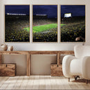 Michigan Wolverines Football Canvas Wall Decor, Football