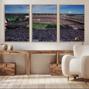 South Carolina Gamecocks Football Team Print - Columbia