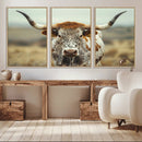 Texas Cow Longhorn Wall Art Canvas Print for Farm House Wall