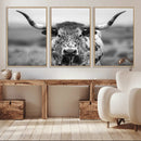 Texas Cow Longhorn Wall Art Canvas Print for Farm House Wall