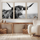 Texas Cow Longhorn Wall Art Canvas Print in Black and White