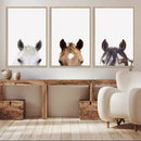 Horse Prints Set, Set of 3 Horse Wall Art, Horses Portraits, by MyGreatCanvas | Canvas Wall Art Prints | Photo Prints & Wall Decor