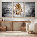 Jaguar Wall Art Canvas Print - Majestic Big Cat in Focused by MyGreatCanvas | Canvas Wall Art Prints | Photo Prints & Wall Decor
