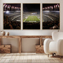 Eagles Field Stadium Wall Art - Philadelphia Eagles Football