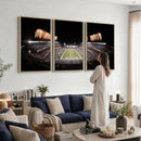 Eagles Field Stadium Wall Art - Lincoln Financial Field