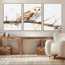 Barn Owl Wall Art on Branch | Stunning Canvas Print for