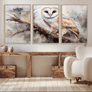 Barn Owl Wall Art | Watercolor Barn Owl Canvas Print | by MyGreatCanvas | Canvas Wall Art Prints | Photo Prints & Wall Decor
