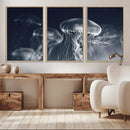 Jellyfish Wall Art Canvas Print, Modern Abstract Jellyfish