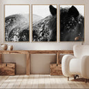 Black Horse in Snow Canvas Print | Winter Horse Wall Art |