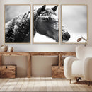 Horse Canvas Print - Winter Horse Snow Wall Art Canvas Print