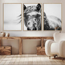 Western Wall Art | Black and White Winter Horse Wall Art | by MyGreatCanvas | Canvas Wall Art Prints | Photo Prints & Wall Decor