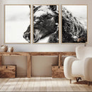 Framed Black and White Horse Wall Art | Ready to Hang and by MyGreatCanvas | Canvas Wall Art Prints | Photo Prints & Wall Decor