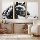 Winter Horse Canvas Print | Large 3-Panel Black White Equine