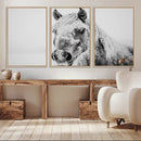 White Horse Wall Art | Ready to Hang and Framed | Winter