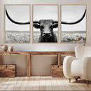 Longhorn Bull Canvas Print | Rustic Farmhouse Wall Art |