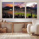 Folsom Field - University of Colorado Buffaloes Football by MyGreatCanvas | Canvas Wall Art Prints | Photo Prints & Wall Decor