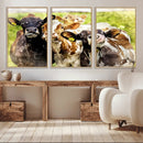 Curious Cows Farmhouse Wall Art | Ready to Hang and Framed