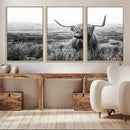 Scottish Highland Cow Wall Art | Black and White Canvas