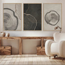 Modern Abstract Tree Ring Canvas Art Set | 3 Panel Large