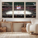 Honda Center California Anaheim Ducks Ice Hockey Stadium