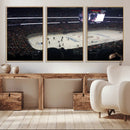 Honda Center California Anaheim Ducks Hockey Stadium Wall