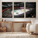 Vaudoise Lausanne Ice Hockey Arena Stadium Wall Art Canvas,