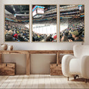 Xcel Energy Center St Paul Minnesota Wild Ice Hockey Stadium