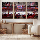 Carolina Hurricanes Ice Hockey Stadium Wall Art, Carolina