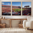 Florida Tampa Raymond James Stadium Wall Art Canvas Print - by MyGreatCanvas | Canvas Wall Art Prints | Photo Prints & Wall Decor
