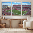 Florida Tampa Raymond James Stadium Wall Art Canvas Print -