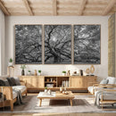 Majestic Angel Oak Tree Black and White Canvas Print – Multi by MyGreatCanvas | Canvas Wall Art Prints | Photo Prints & Wall Decor