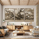 Sepia Framed Angel Oak Tree Wall Art - 3-Panel Canvas