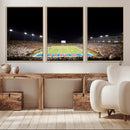 SMU Mustangs Football Team Print - Dallas Gerald J. Ford