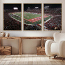 Houston Cougars Football Team Print - Houston TDECU Stadium