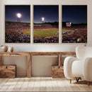 Virginia Cavaliers Football Team Print - Charlottesville