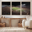 Wisconsin Badgers Football Team Print - Madison Camp Randall