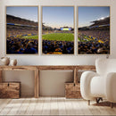 Pittsburgh Panthers Football Team Print - Pittsburgh