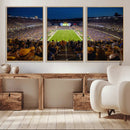 Pittsburgh Panthers Football Team Print - Pittsburgh by MyGreatCanvas | Canvas Wall Art Prints | Photo Prints & Wall Decor