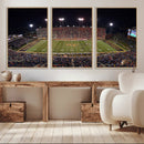 Demon Deacons Print Canvas, Football Team Print -